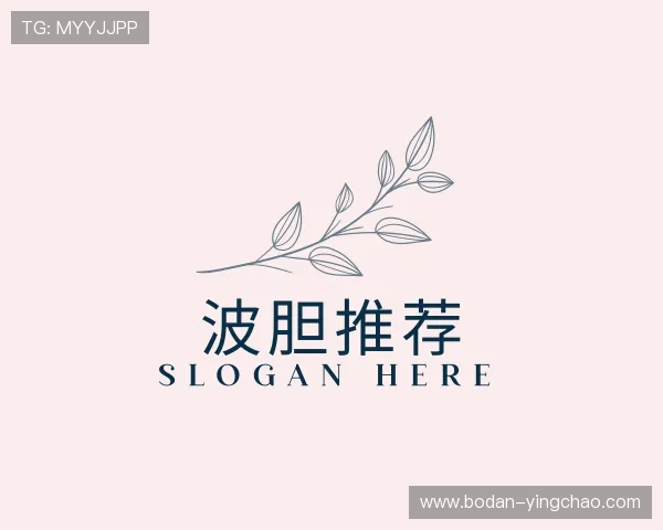 解读波胆指数对比网站